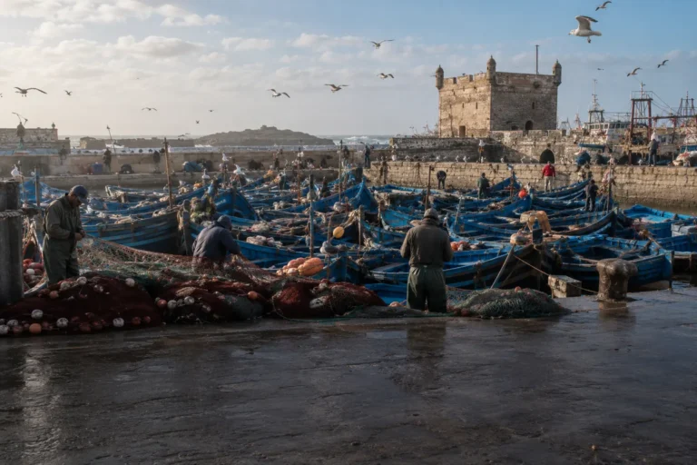 Le port de pêche d'Essaouira et ses barques bleues